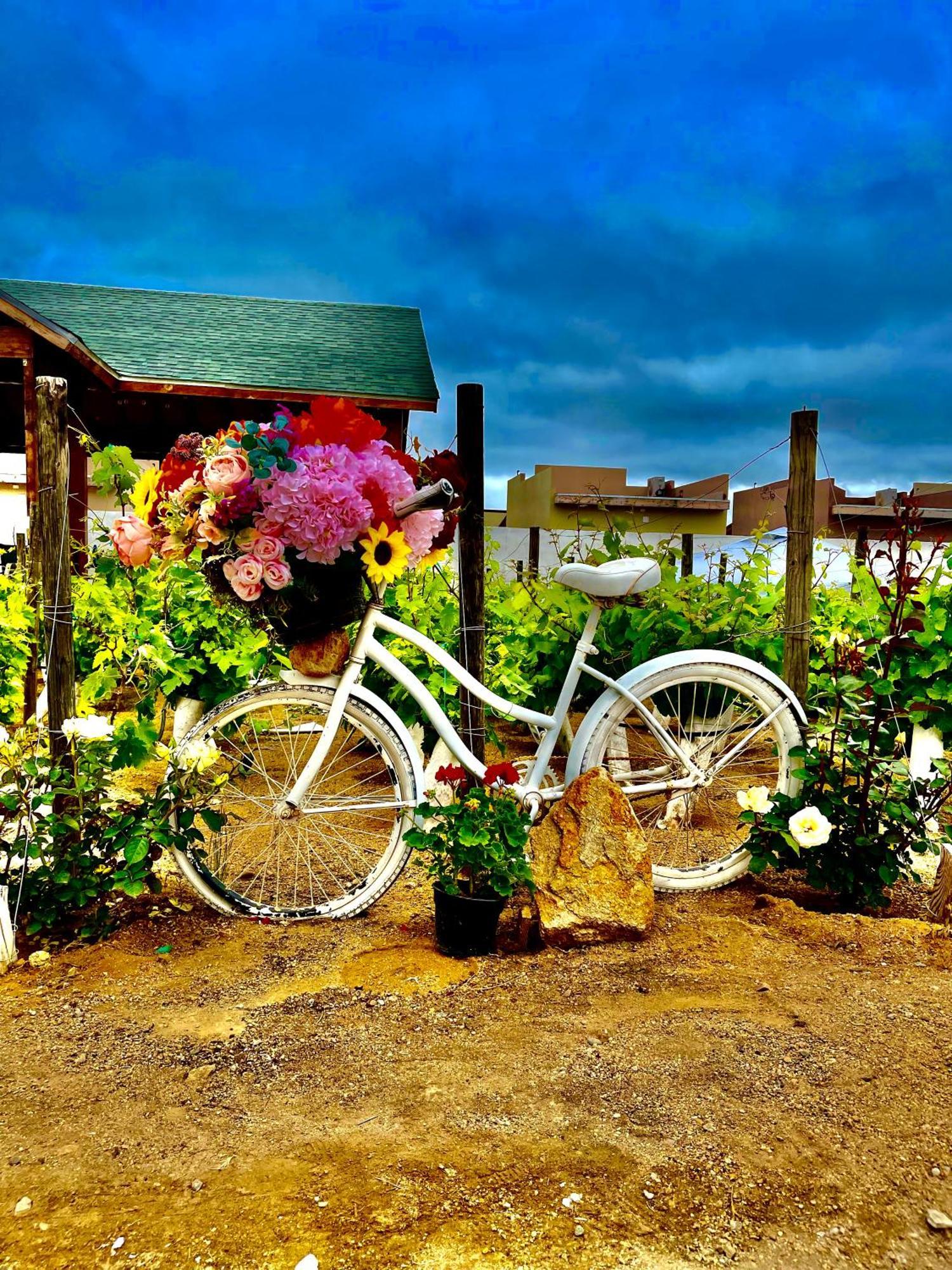 Hacienda 7 Amores El Porvenir Exteriér fotografie