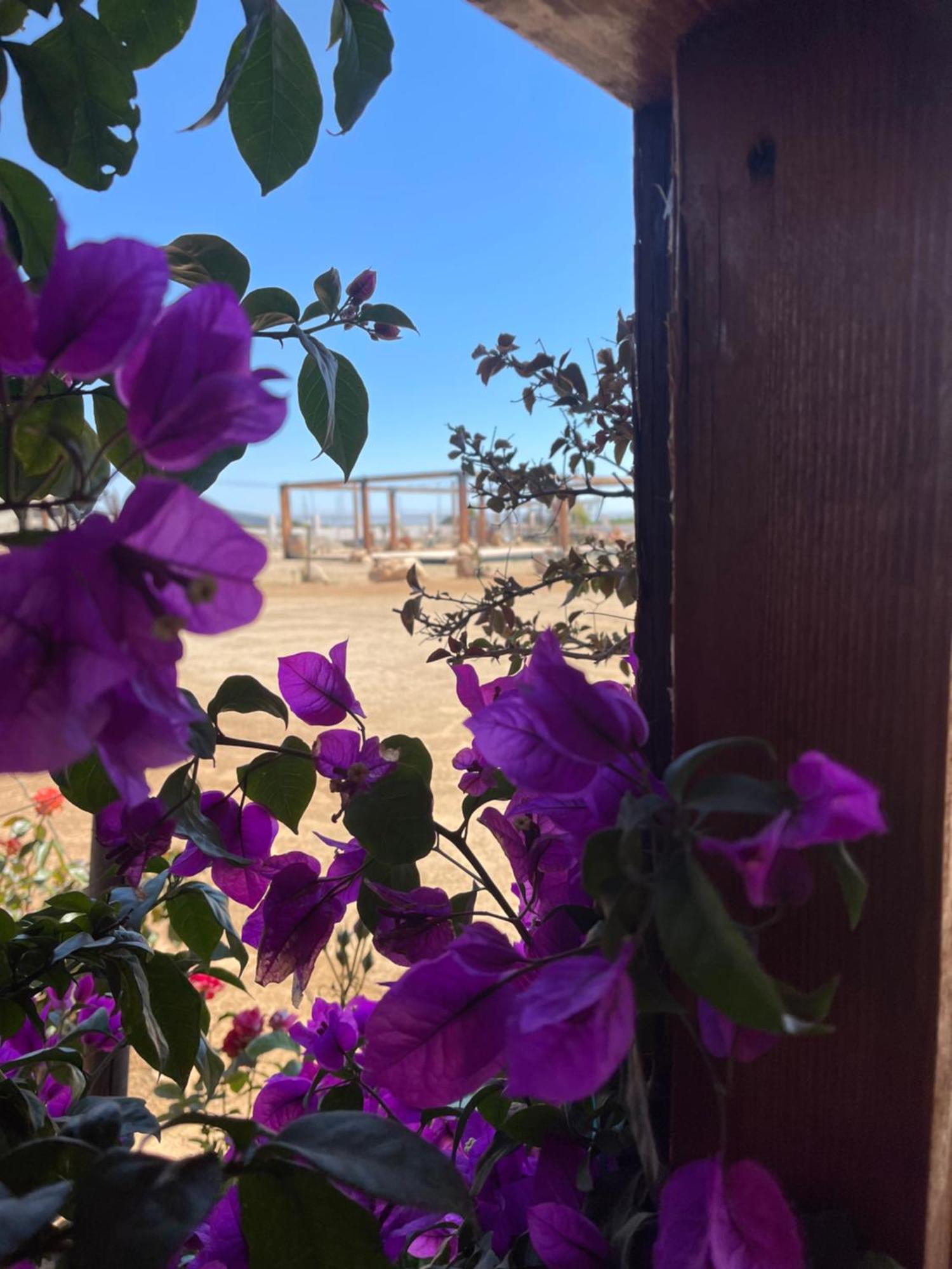 Hacienda 7 Amores El Porvenir Exteriér fotografie